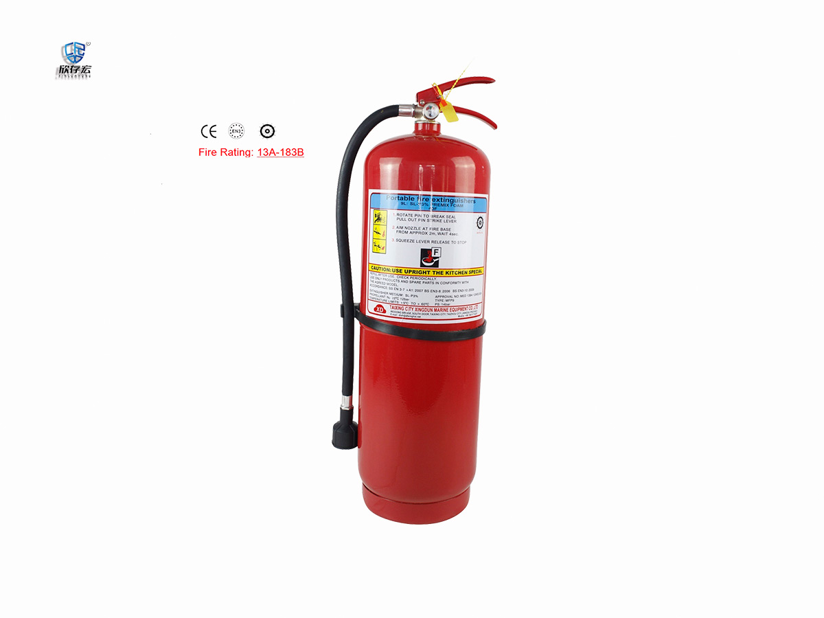 Foam Fire Extinguisher MP9